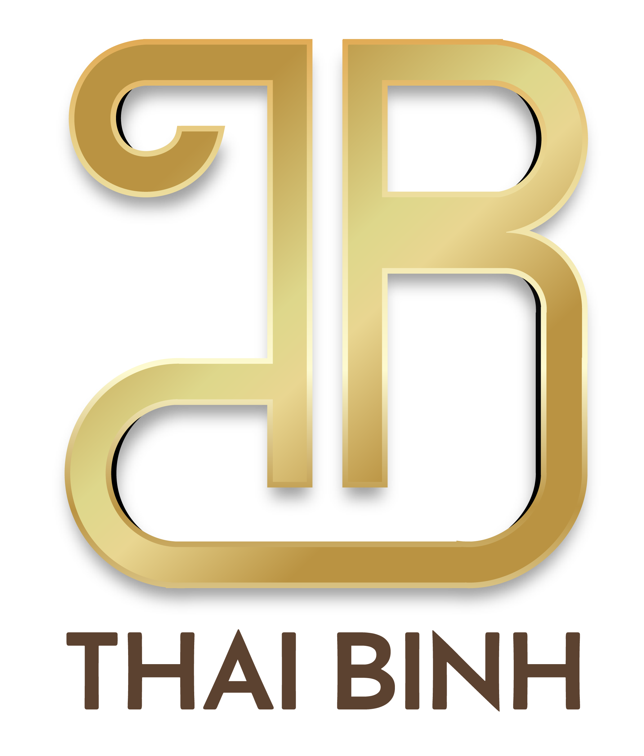 THAI BINH HOTEL